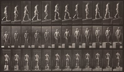 Animal Locomotion, Plate 74 by Eadweard Muybridge
